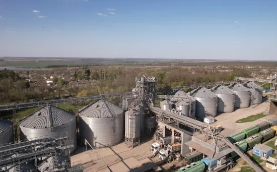 Ціни на зерно в Україні впали нижче собівартості: як зупинка суден б’є по аграріях