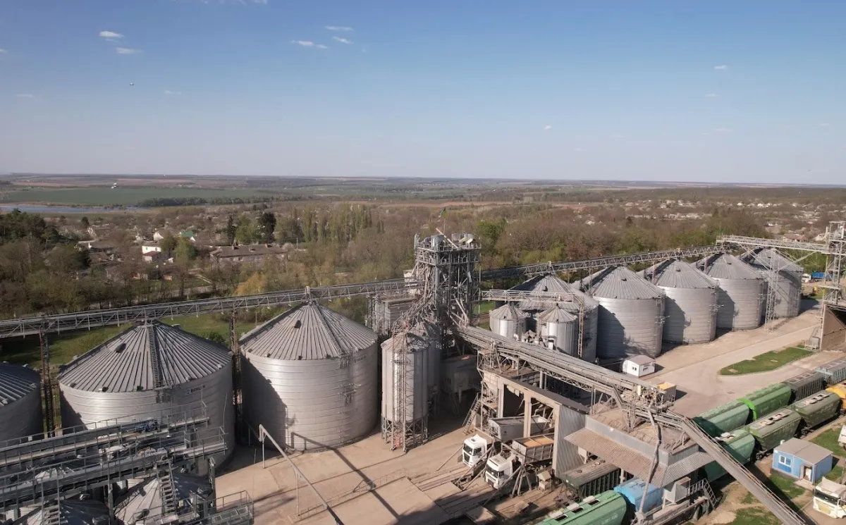 Grain prices in Ukraine have fallen below production costs: how the suspension of shipping is hitting farmers
