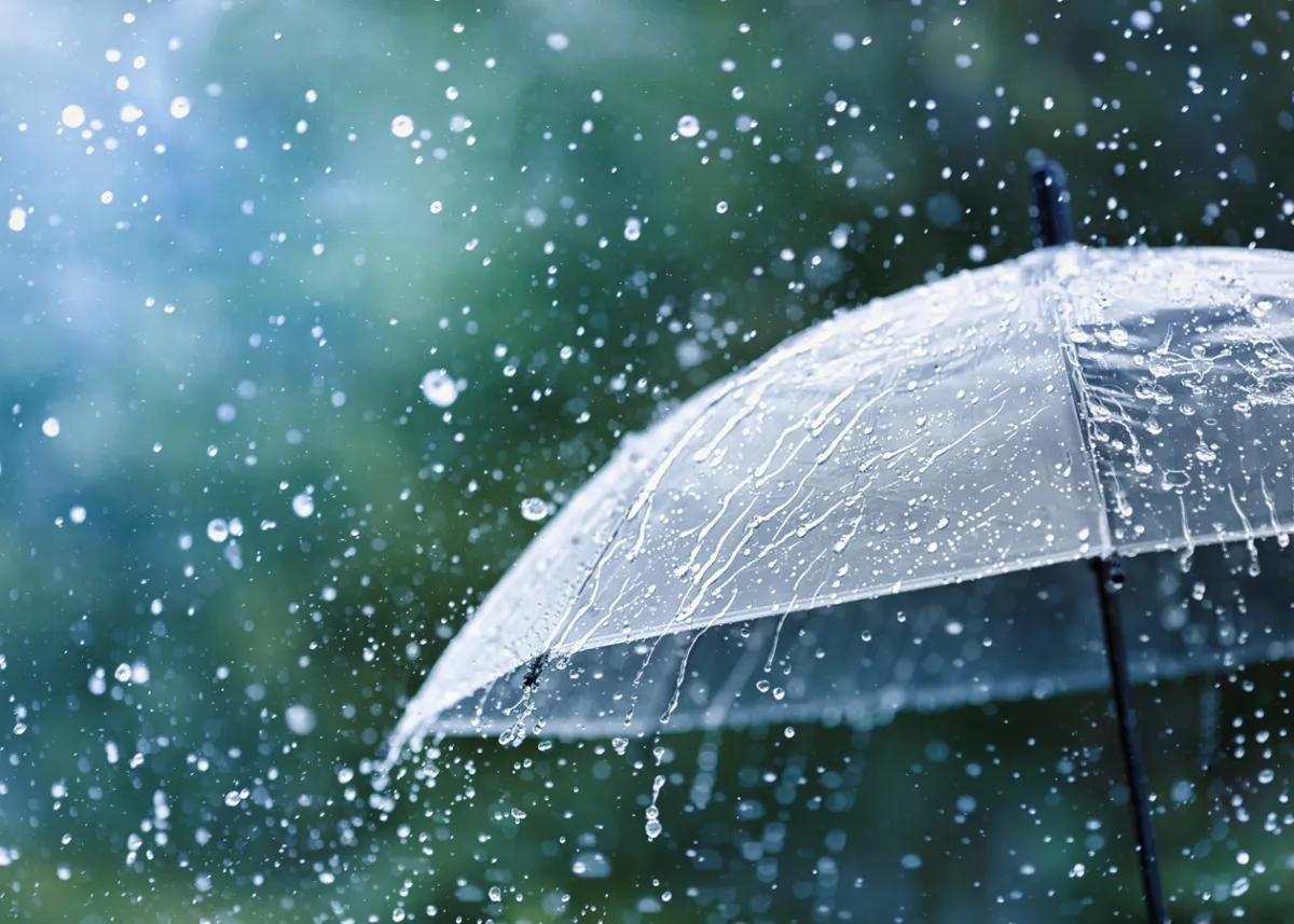 Short showers and thunderstorms across almost all of Ukraine: what will the weather be like on 24 July?