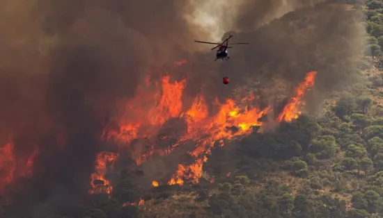 More than 23,000 people have been evacuated in France due to forest fires. Macron has asked the EU for help