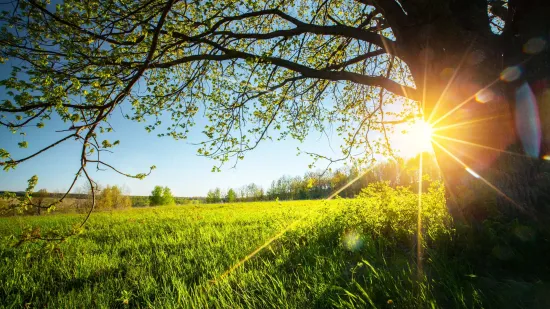 Weather forecast for 25 July 2026