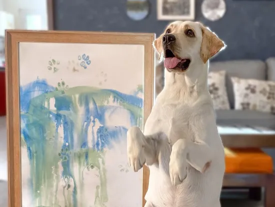 Labrador from India named Dali gained popularity thanks to his paintings