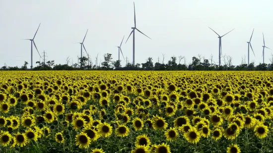 Нідерландів допомагають Україні відновлювати електропостачання