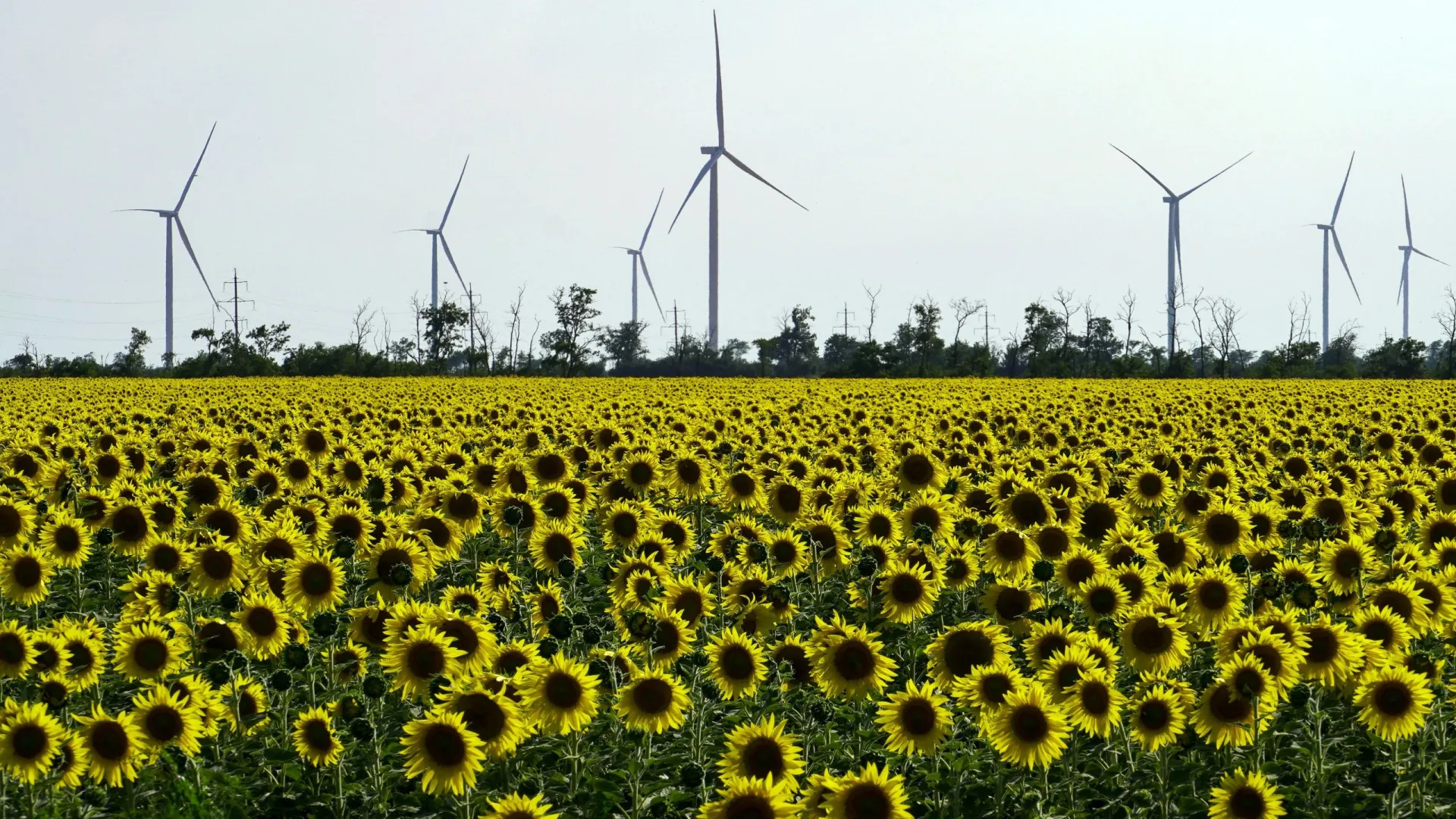 Нідерландів допомагають Україні відновлювати електропостачання
