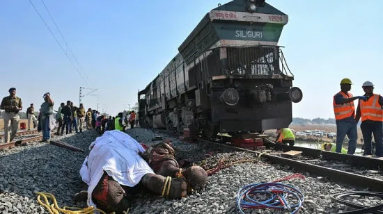 High-speed train in India runs over a herd of elephants: seven animals killed