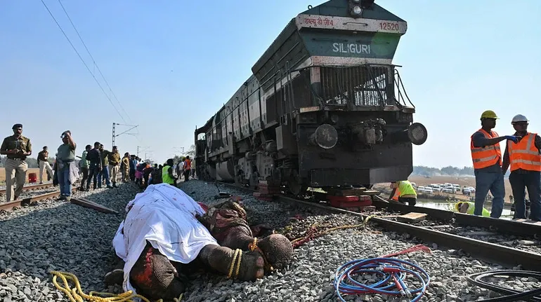 High-speed train in India runs over a herd of elephants: seven animals killed