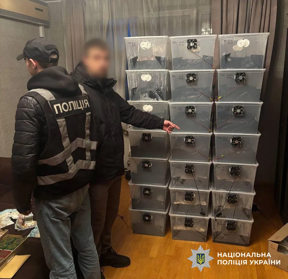 Drug dealer selling psilocybin mushrooms under the guise of chocolate exposed in Kyiv