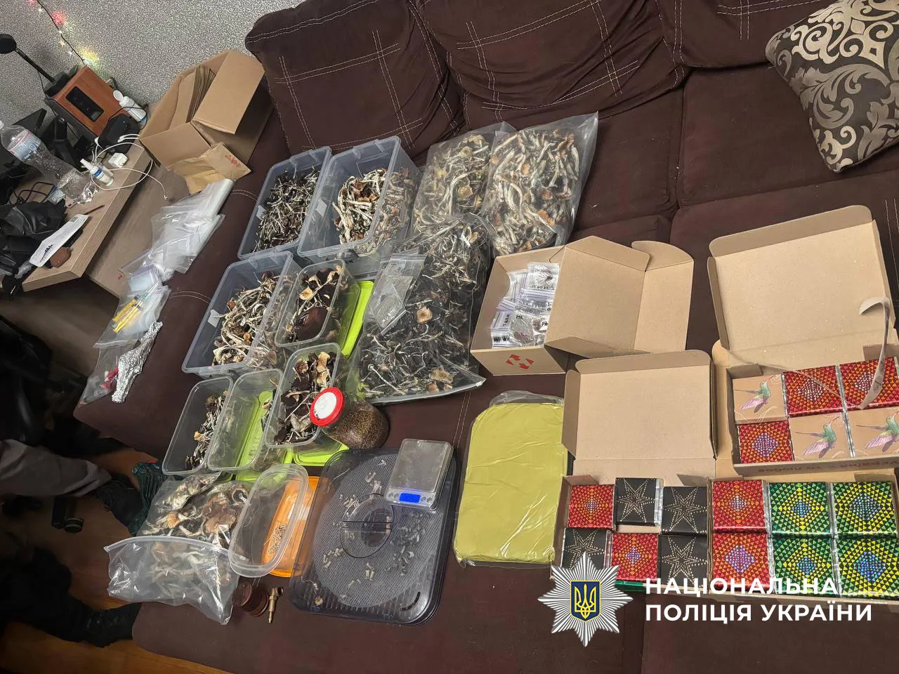 Drug dealer selling psilocybin mushrooms under the guise of chocolate exposed in Kyiv