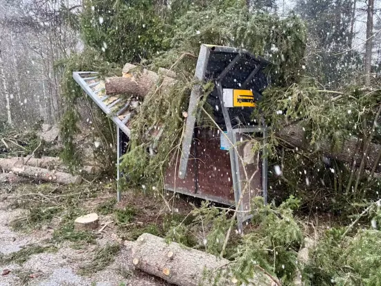 Storm Hannes causes the largest power grid failure in Finland in a decade