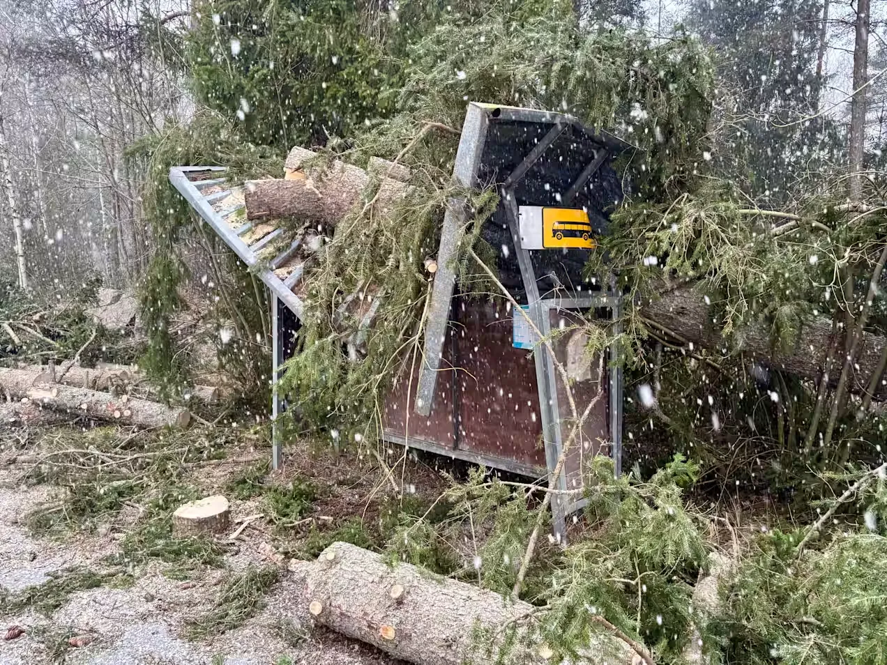 Storm Hannes causes the largest power grid failure in Finland in a decade
