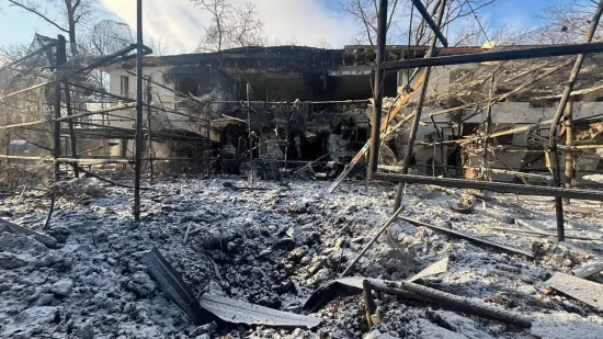 Удар КАБ по екопарку під Харковом: поранена волонтерка, загинули птахи