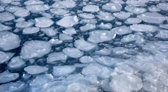Ukrainian rescued two children from an ice trap in Poland