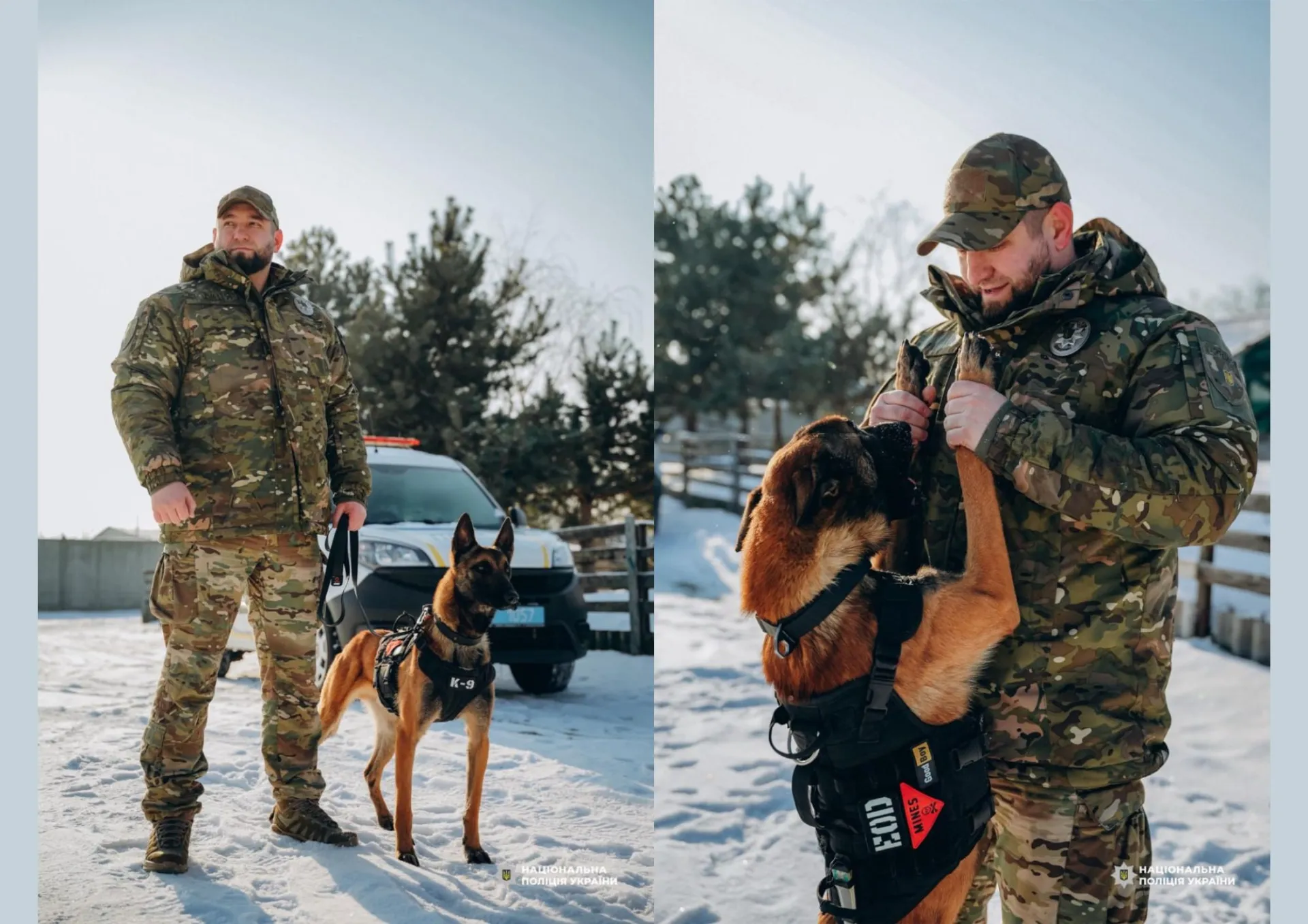 Who will help stray animals survive the harsh frosts of this winter?