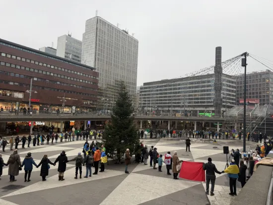 A large solidarity rally was held in Stockholm to mark Ukrainian Unity Day.