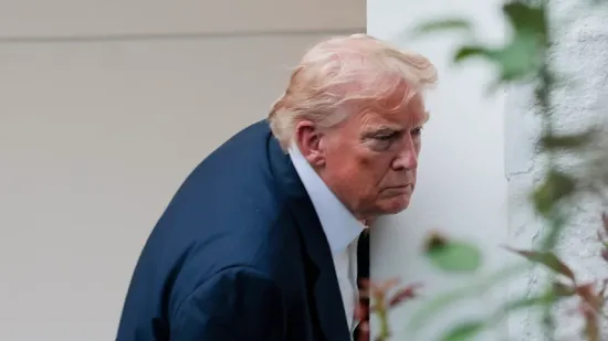 Donald Trump has everything under proper control: upon noticing damage on the limestone sidewalk, he personally reviewed the surveillance camera footage.