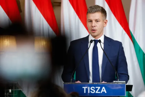 Elections in Hungary: Tisza leader calls on opposition to withdraw candidates to defeat Orbán
