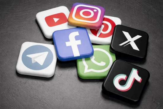 France is preparing to restrict social media for children under 15: what the new law entails
