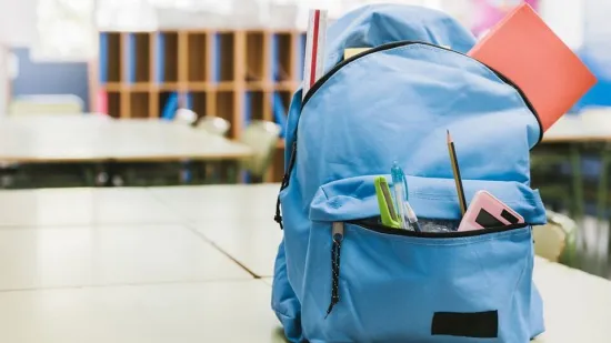 The Ministry of Education and Science has confirmed the operation of nearly 70 Ukrainian educational centres abroad