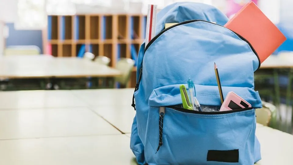 The Ministry of Education and Science has confirmed the operation of nearly 70 Ukrainian educational centres abroad