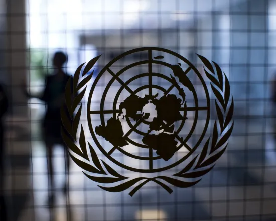 The UN General Assembly supported the creation of the Palestinian government
