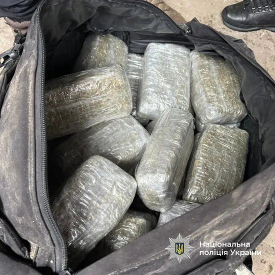 Співробітники ДСР Нацполіції ліквідували наркоугруповання з повним циклом вирощування канабісу та вилучила наркотиків на 5 млн гривень