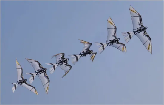 Chinese scientists presented a flying robot in the form of a falcon
