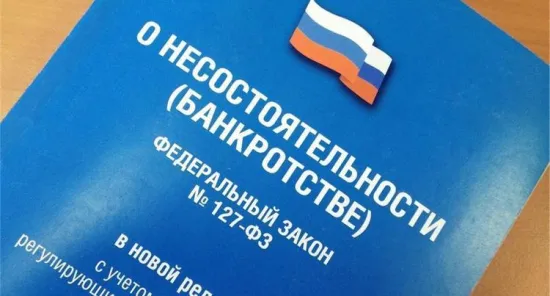 Industrial and export sectors of the Russian Federation have entered the zone of maximum bankruptcy risk