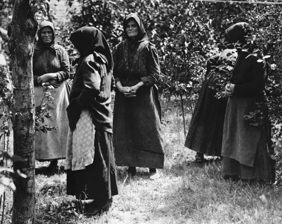 The village where half a hundred women killed their husbands - BBC