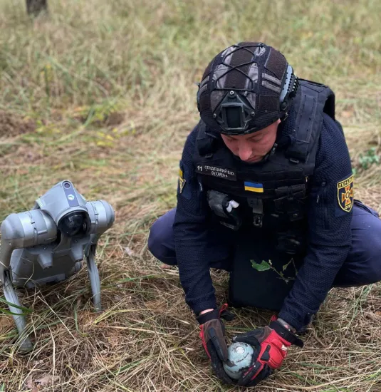 Robopet helps search for ammunition in Kyiv region