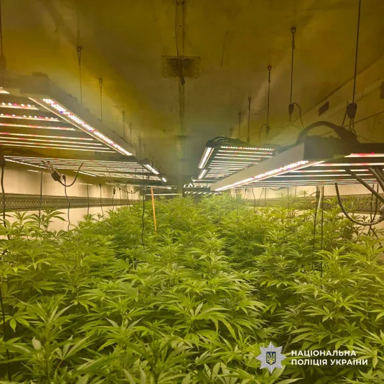 A full-cycle cannabis production drug laboratory was uncovered in Cherkasy region