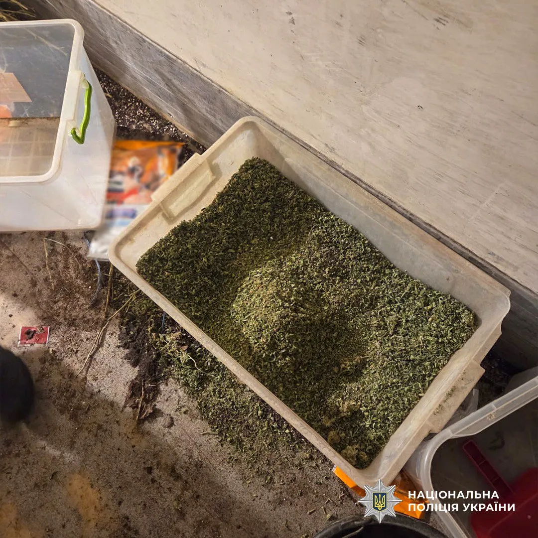 A full-cycle cannabis production drug laboratory was uncovered in Cherkasy region