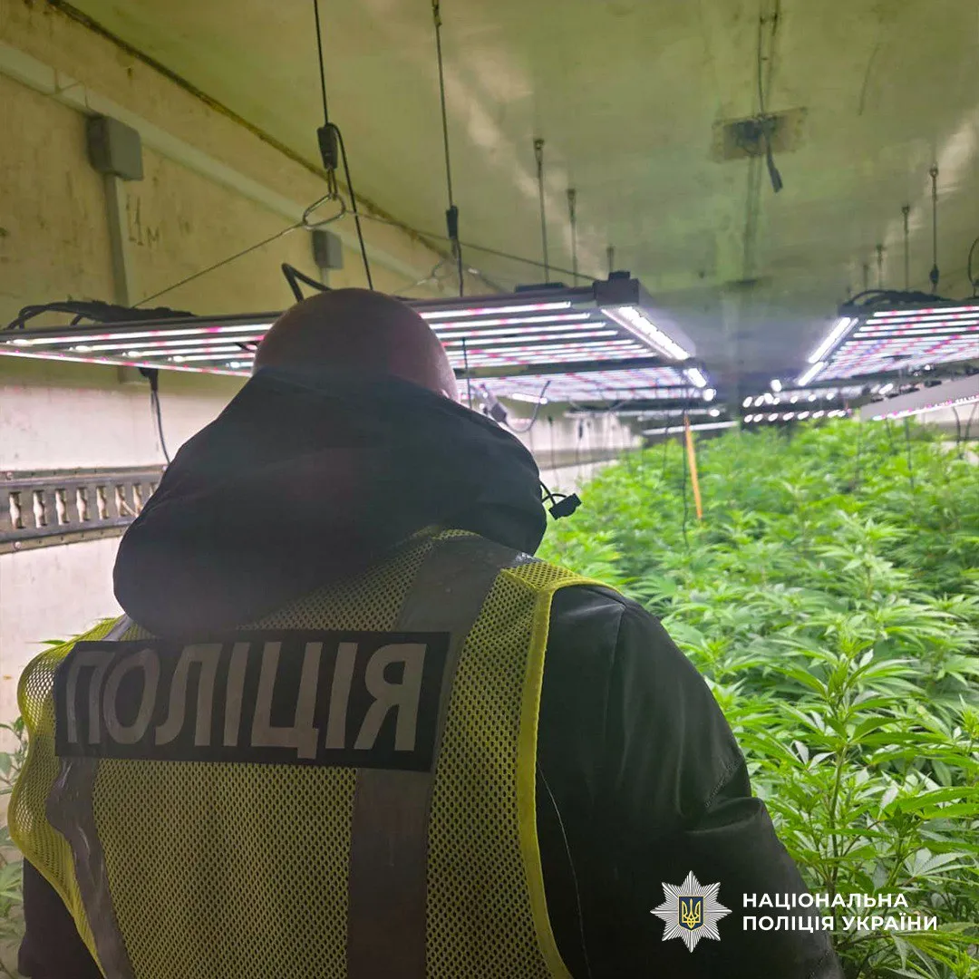 A full-cycle cannabis production drug laboratory was uncovered in Cherkasy region