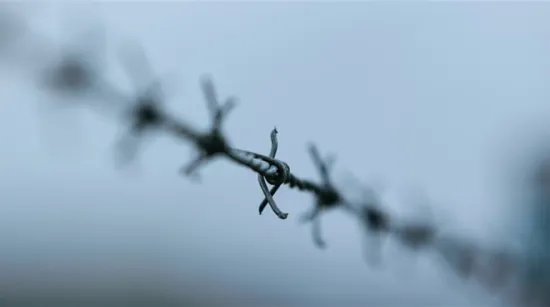 In Kupiansk, three Russian soldiers surrendered via the chatbot "I want to live"