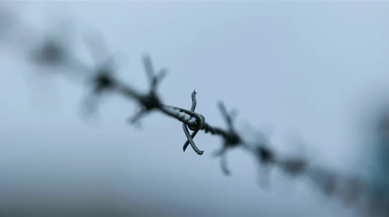 In Kupiansk, three Russian soldiers surrendered via the chatbot "I want to live"