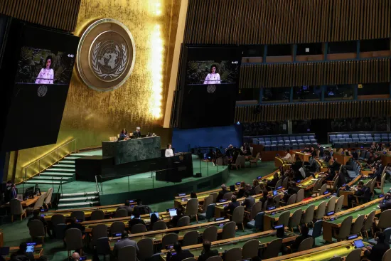 The UN General Assembly adopted a resolution in support of Ukraine: 107 countries voted in favour