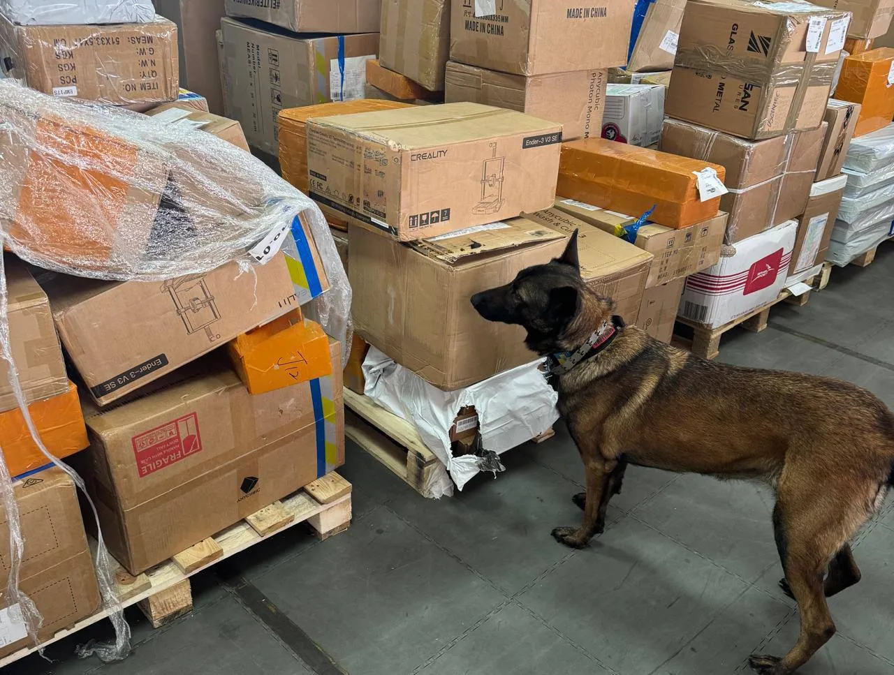 Kyiv customs seized 3.7 kilograms of cannabis disguised as dried fruit