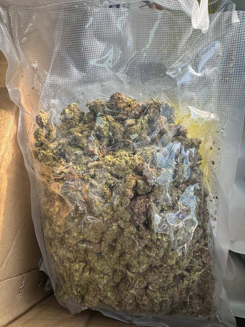Kyiv customs seized 3.7 kilograms of cannabis disguised as dried fruit