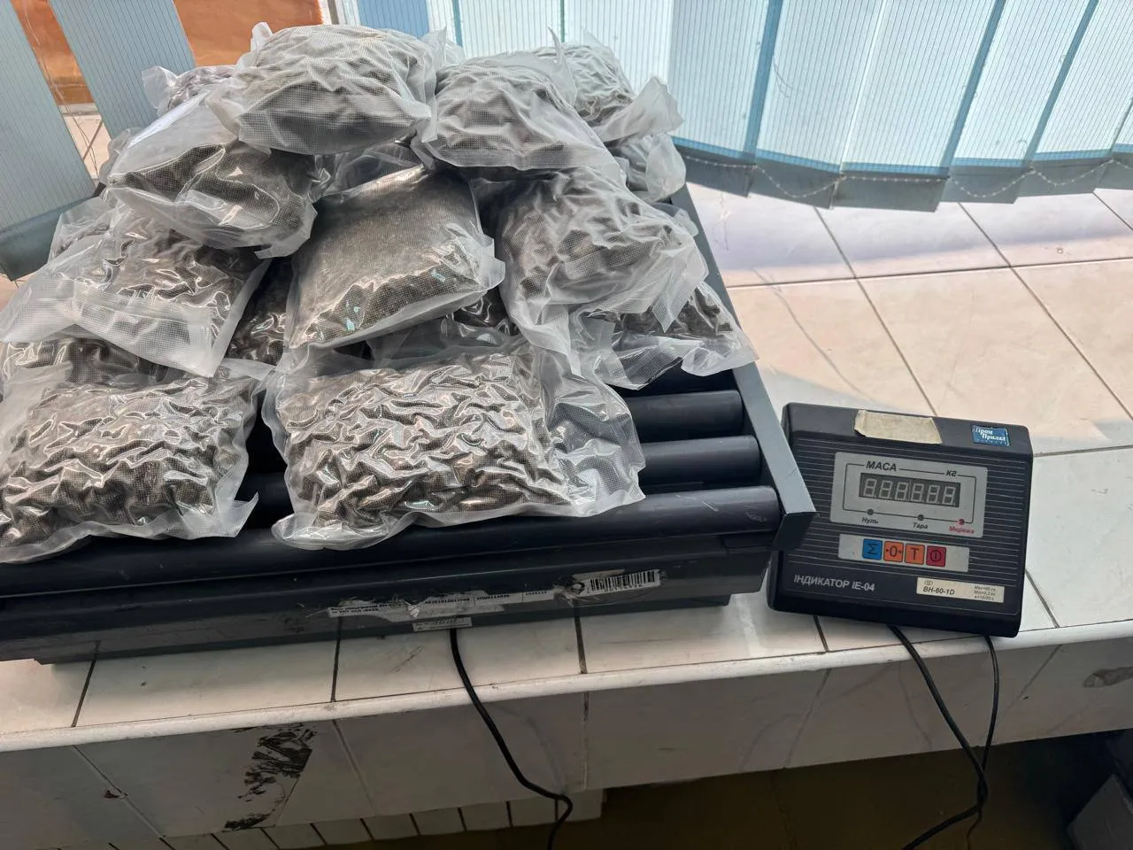 Kyiv customs seized 3.7 kilograms of cannabis disguised as dried fruit