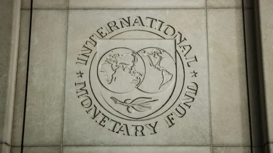 How the ESBU and the Accounting Chamber will influence Ukraine's financial future: analysis of the latest IMF report