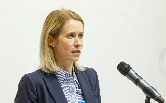 EU seeks diplomatic solutions to resolve situation in Middle East — Callas