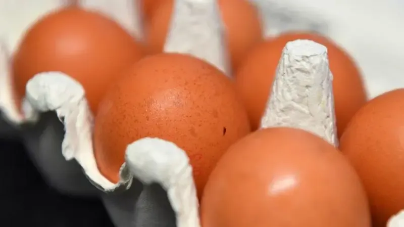 Ukrainian eggs - new leaders in the British market
