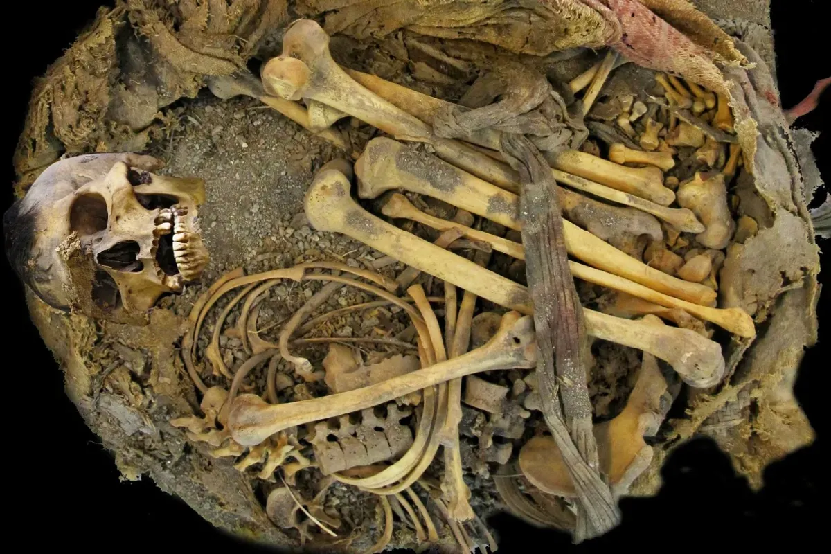 In Mexico, a 1000-year-old mummy with microorganisms in the intestine was discovered