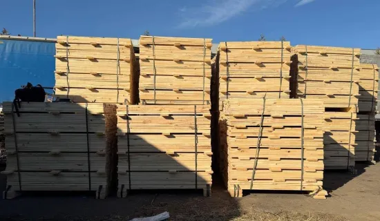 In Transcarpathia, customs officers stopped an attempt to illegally export pine wood to Poland
