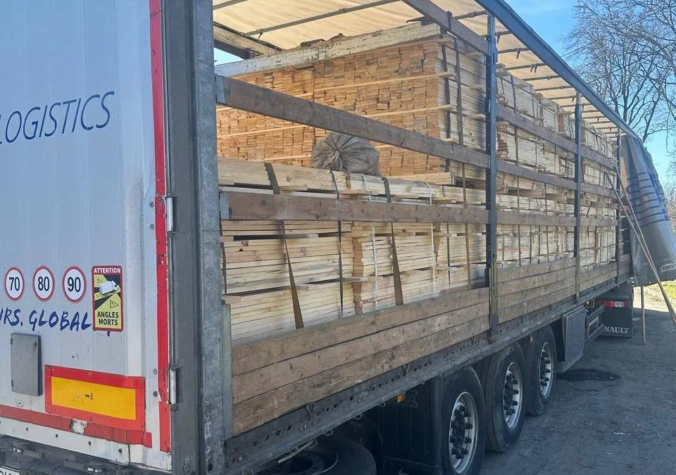 In Transcarpathia, customs officers stopped an attempt to illegally export pine wood to Poland