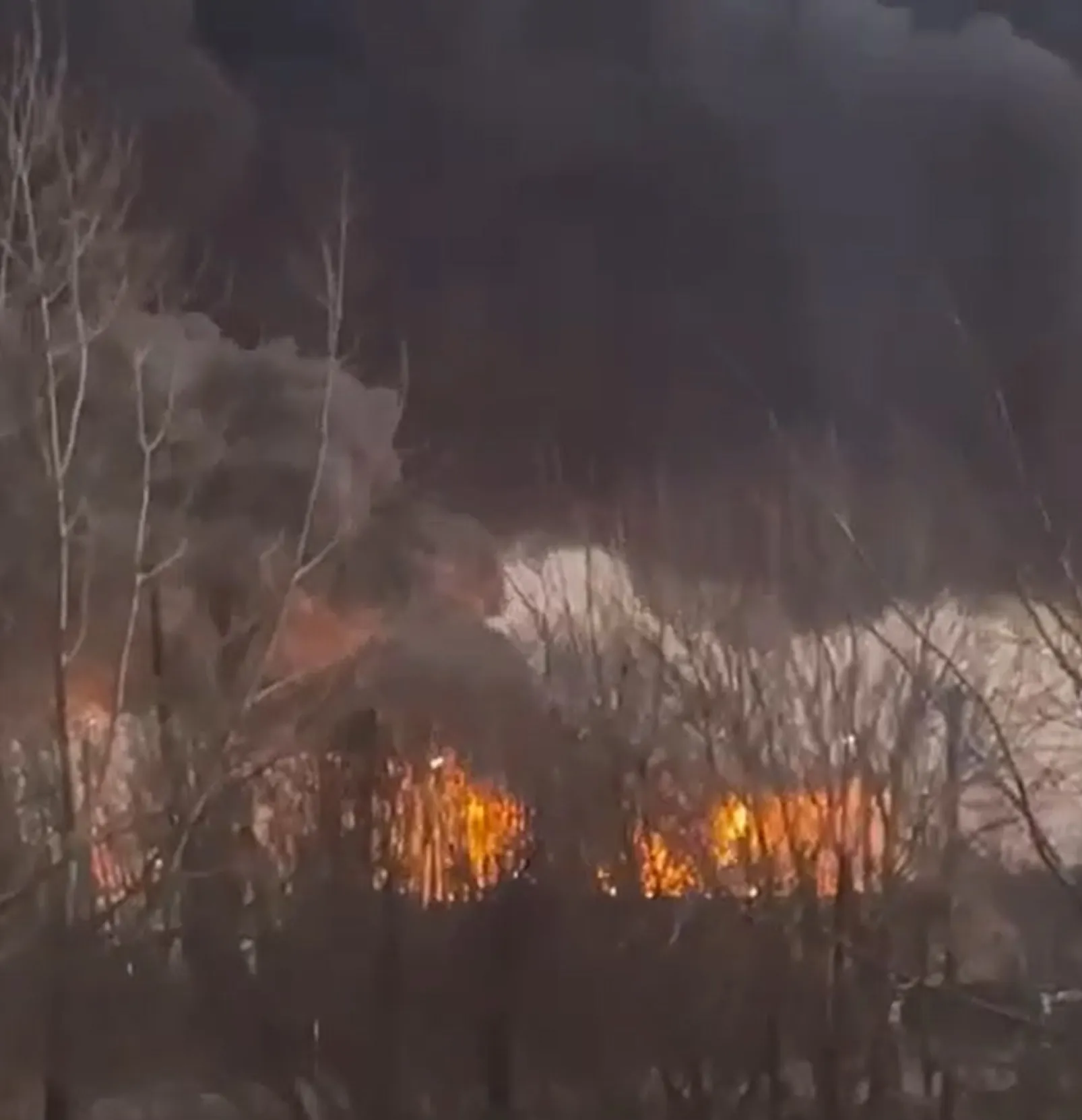 The SSU attacked an oil depot in the Krasnodar region with drones (VIDEO)